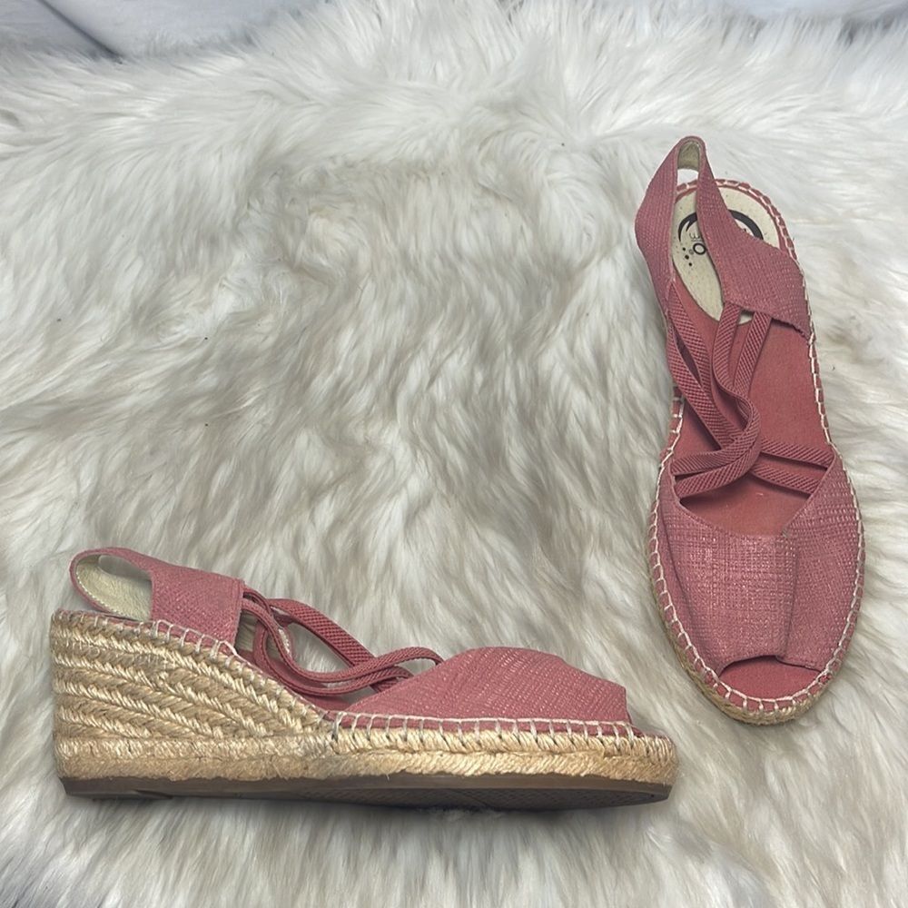 Abeo Delano Terracotta Metallic Nubuck Wedge Espadrille Sandal Sz 7 Narrow Width